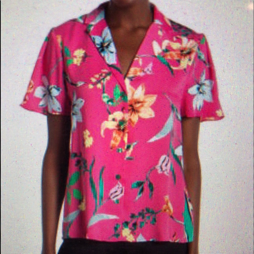 Laundry by Shelli Sagal Blouse